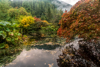 Benmore Pond In Autumn