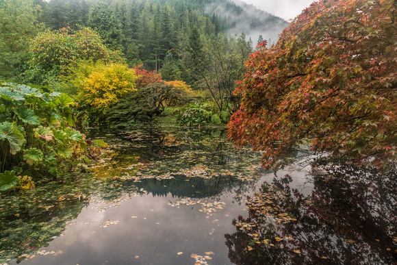 Benmore Pond In Autumn