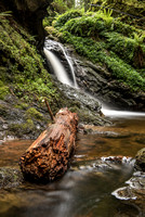 Log In The Big Waterfall
